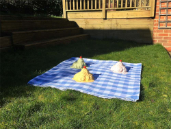 http://www.jasminesmail.co.uk/files/gimgs/th-13_Mud Pie Picnic, 2021 website.jpg